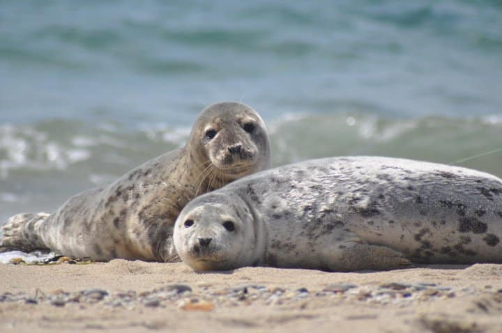 Isle of Man coastal wonders