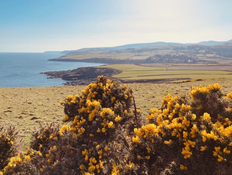 Maughold Head, Isle of Man