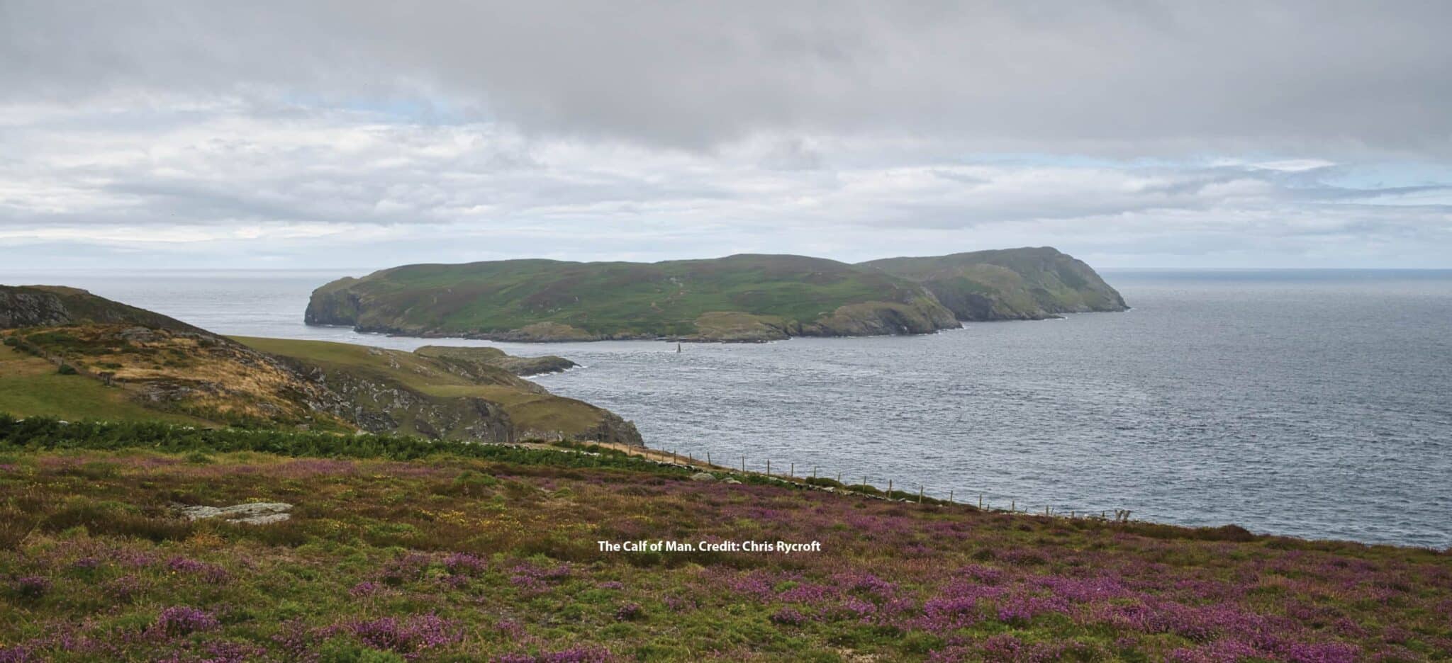 Isle of Man wildlife