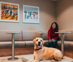 Best Way to Get to the Isle of Man travel with pets on ferries (credit Steam Packet Company)