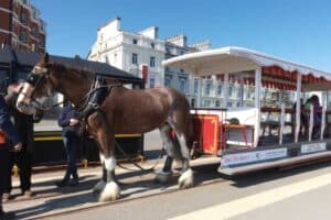 Douglas Bay Horse Tram along the promenade Douglas Bay Horse Tram along the promenade
